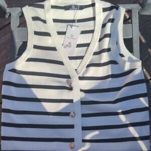 Luxe Sweater Black and White Striped V-Neck Vest